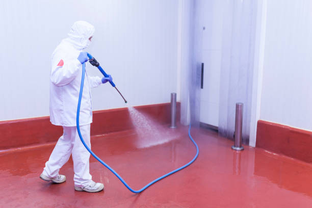 Reliable Honey Grove, TX Pressure Washing Services Solutions